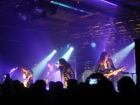Shinedown