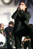 Brent - Shinedown in the Sun