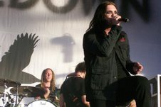 Shinedown to perfection