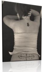 Le'Anna's tattoo of Shinedown