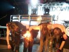 Take a Bow Shinedown