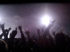 Rock Horns
