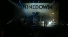 Shinedown at the Meadowbrook