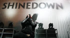 Shinedown Live