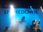 Shinedown Rocking