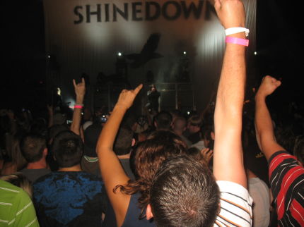 View From the Crowd