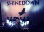 Shinedown Live