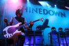 Shinedown Live