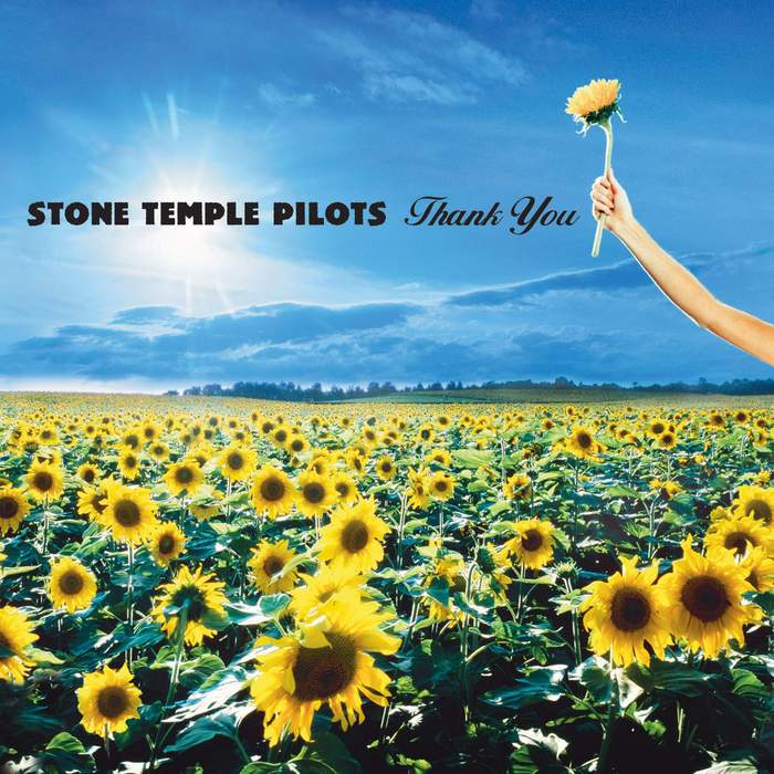 Thank You Cover Art