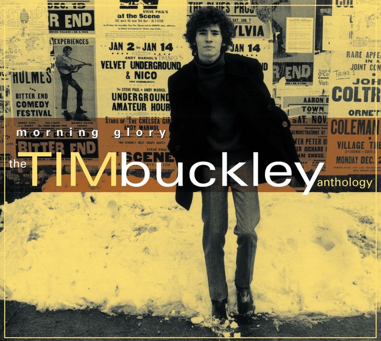 Morning Glory: The Tim Buckley Anthology Cover Art