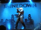 The best singer in the world, Brent