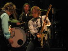 Shinedown