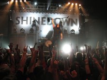Shinedown Photo of the Week